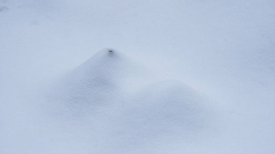 [주기중의 썰로 푸는 사진] 눈 내린 풍경, 에로틱한 겨울 추상