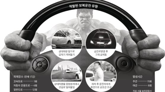 난폭운전도 처벌, 최대 징역 1년, 벌금 500만원, "처벌 난폭운전 유형은?"