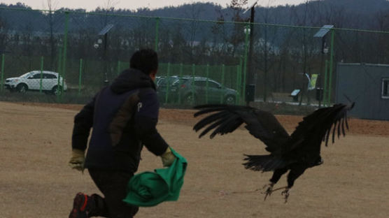 좌절 이긴 국립생태원 동물들 부활 노래