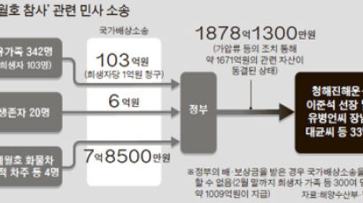 “세월호 수습비용 1878억 갚아라” 정부, 청해진해운 등에 청구 소송