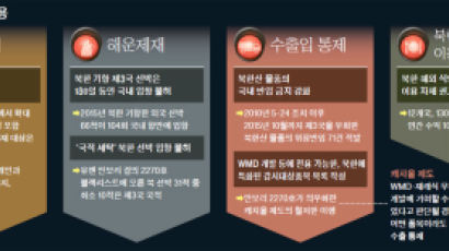 ‘국적 세탁’ 북한 선박까지 단속, 안보리 제재보다 더 세다