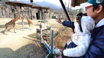 서울대공원, 동물원 입장료 최고 두 배로 올린다
