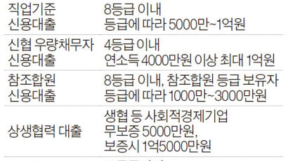 신협, 신용대출 대폭 늘린다