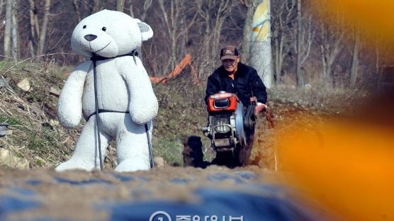 [서소문 사진관] 곰이 허수아비 역사를 바꿨다…“참새 꼼짝마!”