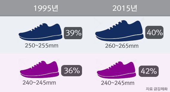 한국인 신발 사이즈 커졌다 | 중앙일보