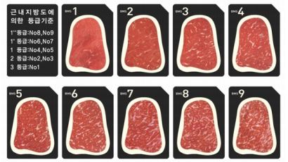 마블링 중심 쇠고기 등급기준 바꾼다···지방과 근육 품질, 조직감까지 반영