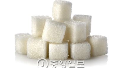 정부 설탕과 전쟁, ‘당뇨’‘단맛줄이기’해법은