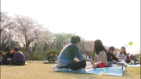 [영상] 여의도 벚꽃축제, 90 초에 '쏙' 담은 산책코스
