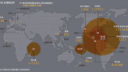 미국 “해외 본사 둬도 국내사 지분 80% 넘으면 과세 강화”