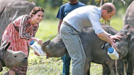 [사진] 코끼리 먹이 주는 영국 왕세손 부부