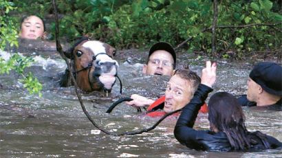 [사진] 텍사스 38㎝ 폭우 … 말 구출작전