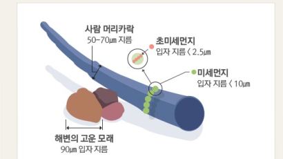 "주말만 기다렸는데…" 미세먼지가 바꾼 도시 풍경