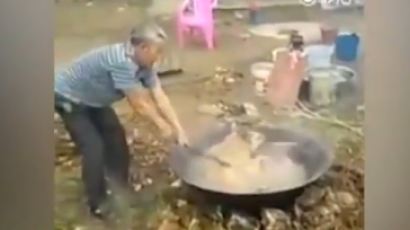 펄펄 끓는 물에 살아있는 개 삶는 중국 남성