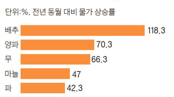 물가는 견딜만, 장바구니는 부담