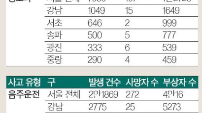 [통계로 본 교통사고] 서울 뺑소니 13% 강남구서 발생