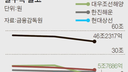 “대우조선 부문별로 쪼개 팔아라” “빈 도크에 수리 조선소…실직자 흡수를”