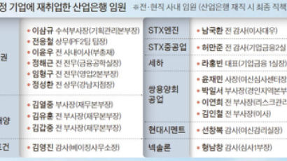 산은이 대주주 된 기업 9곳, 산은 퇴직 낙하산 임원 19명