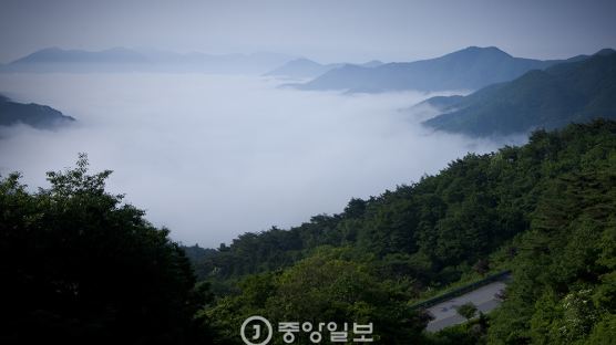 [권혁재 사진전문기자의 뒷담화] 사진으로 본 곡성(哭聲)과 다른 곡성(谷城) 이야기