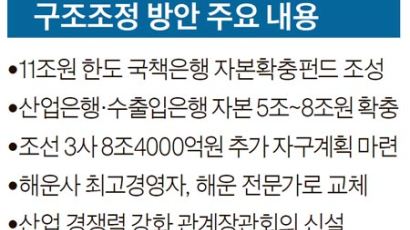 [뉴스분석] 12조 쏟아붓고 일단 버티자는 정부