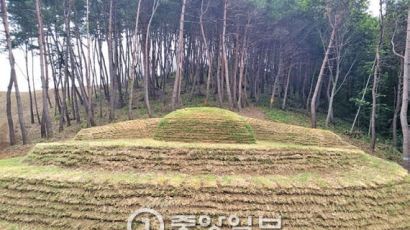 김무성, 부친 묘소 서울 우이동 → 함양 이장