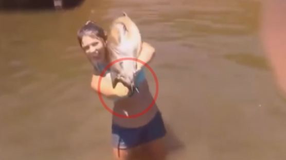 [영상] 물속에서 올라온 여자의 팔에… ‘거대한 물고기가?’