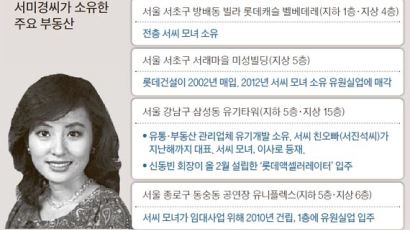 서미경 1000억대 부동산…강남 빌딩엔 롯데 계열사 입주