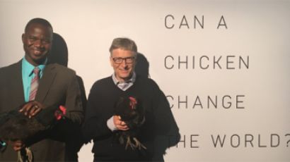 빌 게이츠, 닭 수출국가에 닭 기부…볼리비아 '발끈'