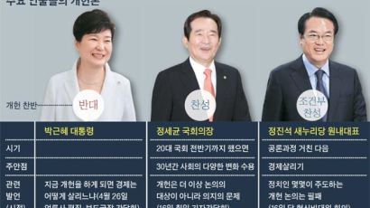 김무성·친박 “이원집정제” 문재인 “미국식 4년 중임제”