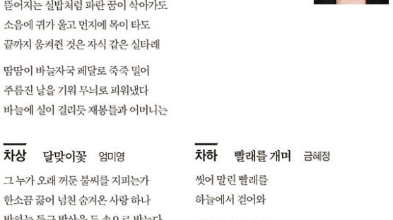 [중앙 시조 백일장] 6월 수상작