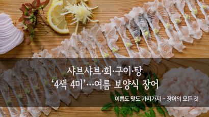 [카드뉴스] 샤브샤브·회·구이·탕 ‘4색 4미’…여름 보양식 장어 