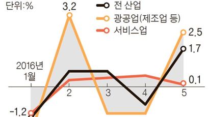 5월 산업생산 1.7% 늘었지만…본격 상승 아닌 반짝 회복