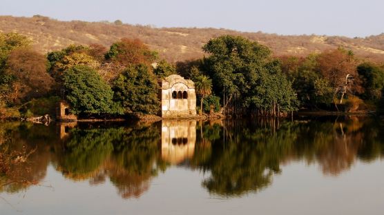 [서현정의 High-End World] 벵골 호랑이 사파리로 유명한 인도 란탐보르 국립공원과 셰르박