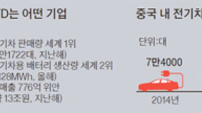 [뉴스분석] 반도체 삼성+전기차 BYD, 최강끼리 손 잡았다