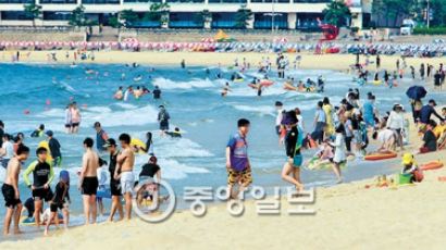 오징어 맨손 잡기, 힙합·댄스 파티…전국 해변, 축제로 물들다