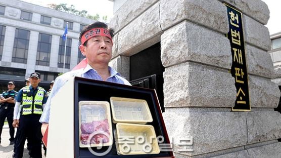 “양양 송이, 법 기준 맞추려면 달랑 1개 넣어 선물해야”