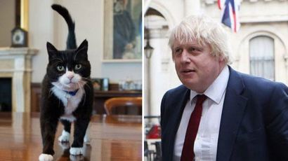 영국 다우닝가 고양이 격돌, 메이 총리의 래리 vs 존슨 외무장관의 파머스턴 