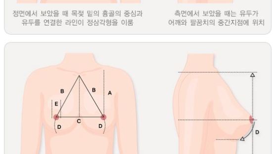 정부운영 건강포털에 올라온 '아름다운 가슴' 기준 제시 논란