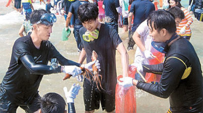 [사진] 오징어 맨손잡기 축제