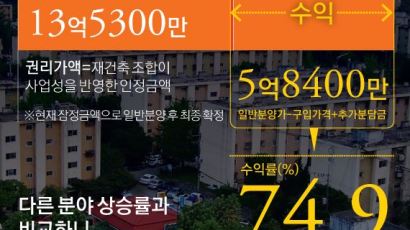 삼성전자 주식 수익률의 10배…'대박' 낳는 강남권 재건축 마술