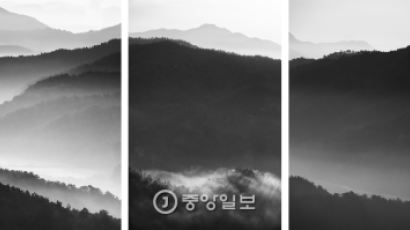 [서소문 사진관] 아찔한 선경(仙境)을 연출하는 회룡포의 새벽 