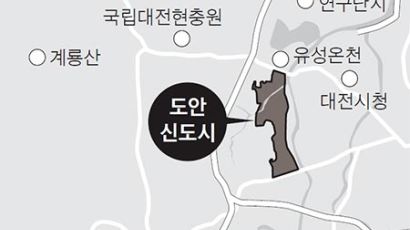 도안, 조선시대 선비들이 안빈낙도했던 곳에서 지명 유래