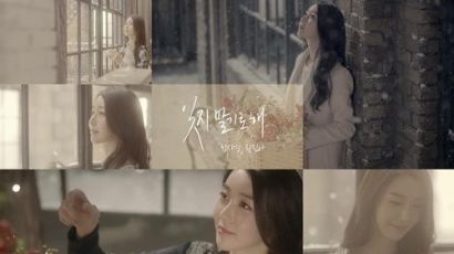 '이현재와 결혼' 김열 과거 보니…'성시경 MV 청순미녀'