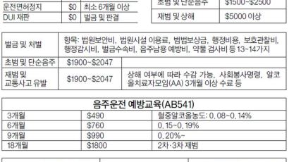'술 한잔' 최소 5000달러·면허정지 6개월