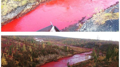 빨간 핏빛으로 물든 강물…오염업체는 오리발