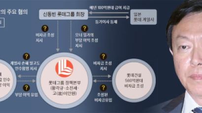 신동빈 내일 소환…검찰, 비자금 의혹 규명 집중 조사