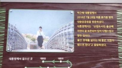"박근혜 대통령께서 걸으신 곳" 울산시 홍보에 네티즌 조롱
