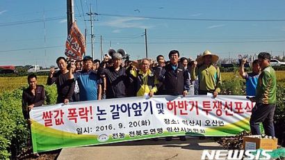 '쌀값 폭락' 풍년 앞두고 논 갈아엎은 농민들…aT 앞서도 규탄 시위