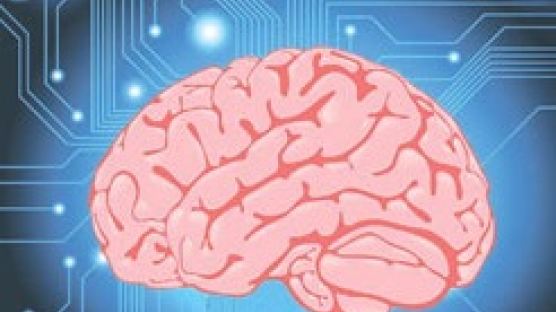 [스페셜 칼럼D] AI와 노벨상 -뇌 연구와 인공지능-