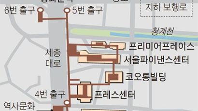 서울시청~광화문 3만㎡에 지하도시