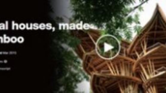 [박용삼의 ‘테드(TED) 플러스’] 대나무로 만든 친환경집 어때요?